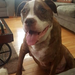 Meet your Posher, Stacy